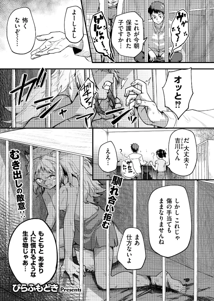 【無料エロ漫画・同人】キョクトウギンイロジンロウちゃんの飼い方。-0枚目