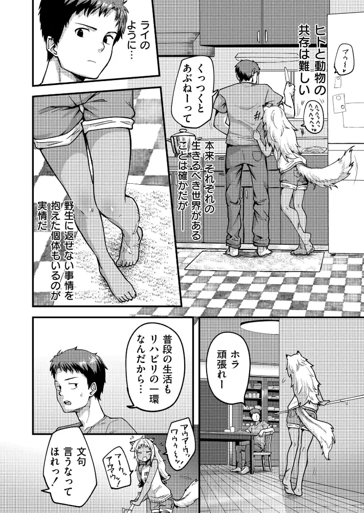 【無料エロ漫画・同人】キョクトウギンイロジンロウちゃんの飼い方。-3枚目