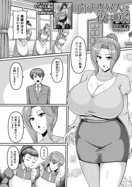 肉欲貴婦人は夜に咲く（川沼魚釣）【エロ漫画】